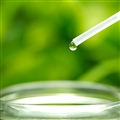 Qu'est-ce que le chémotype d'une huile essentielle en aromathérapie ?